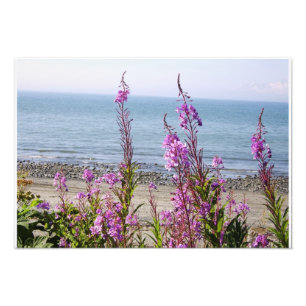 Beautiful Alaskan Scenery Photo Print