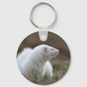 Beautiful Albino Ferret Keychain