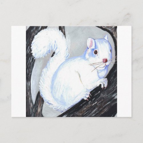 Beautiful Albino Squirrel Postcard