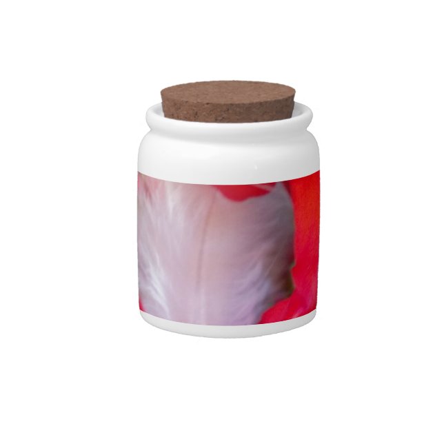 Beautiful Alien Crimson.jpg Candy Jar (Front)