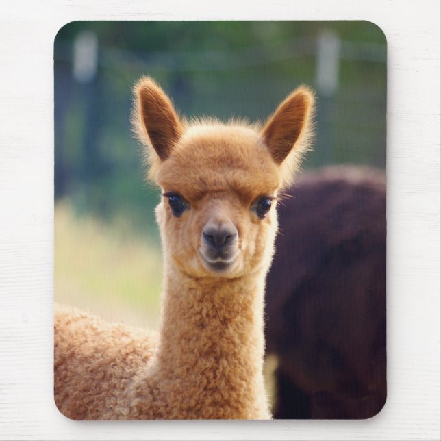 Beautiful Alpaca Mousepad (Front)