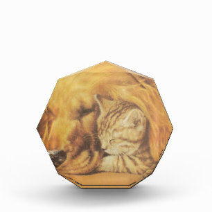 Beautiful Amazing Cat and Dog Cuddling Art Print Acrylic Award