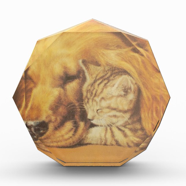 Beautiful Amazing Cat and Dog Cuddling Art Print Award (Front)