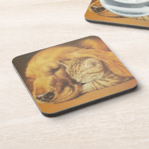 Beautiful Amazing Cat and Dog Cuddling Art Print Beverage Coaster