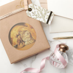 Beautiful Amazing Cat and Dog Cuddling Art Print Classic Round Sticker