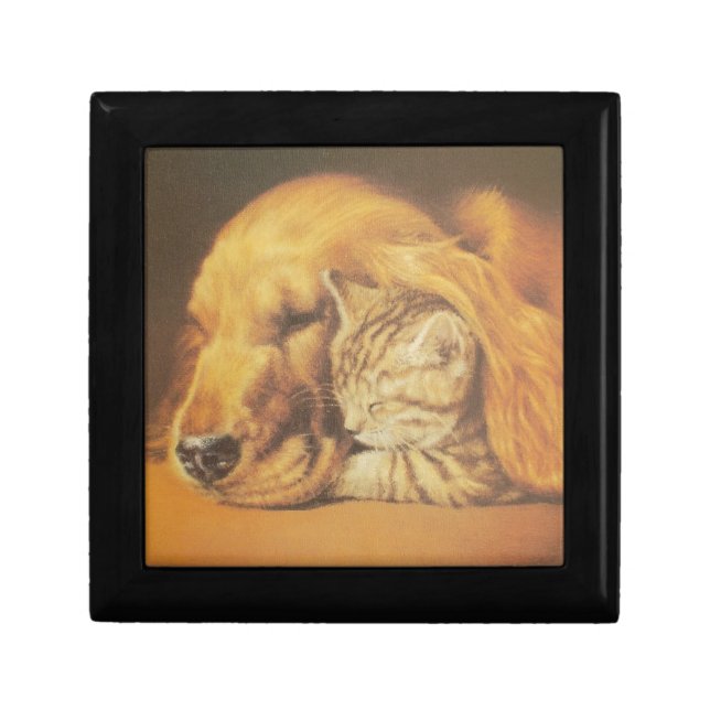 Beautiful Amazing Cat and Dog Cuddling Art Print Jewelry Box (Front)