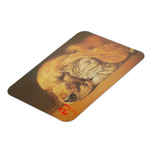 Beautiful Amazing Cat and Dog Cuddling Art Print Magnet