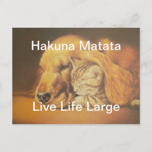 Beautiful Amazing Cat and Dog Cuddling Art Print Postcard