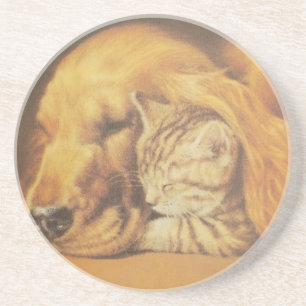 Beautiful Amazing Cat and Dog Cuddling Art Print Sandstone Coaster