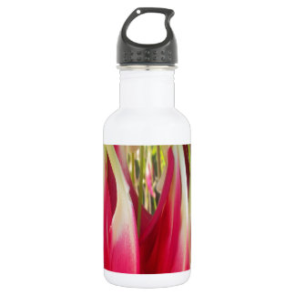 Beautiful amazing customizable Trendy Art Design Water Bottle