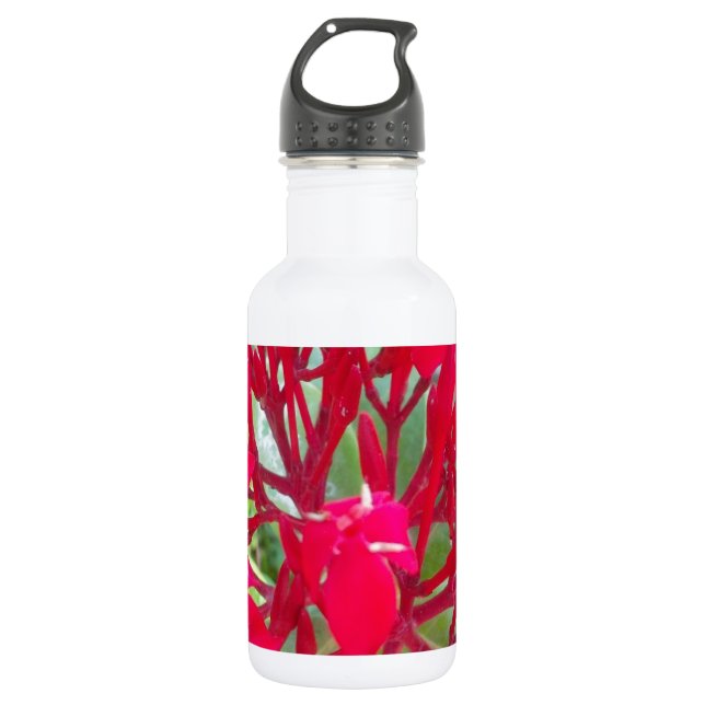 Beautiful amazing customizable Trendy Art Design  Water Bottle (Front)