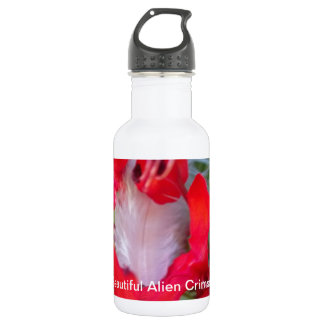 Beautiful amazing customizable Trendy Art Design Water Bottle