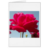 Beautiful Amazing Hakuna Matata Rose For the Bride (Front)