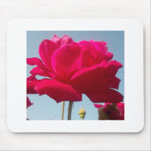 Beautiful Amazing Hakuna Matata Rose For the Bride Mouse Pad