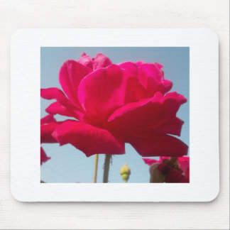 Beautiful Amazing Hakuna Matata Rose For the Bride Mouse Pad