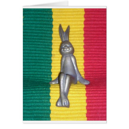 Beautiful amazing Rabbit Kingston Jamaica (Front)