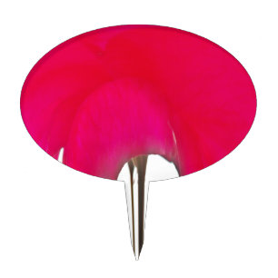 Beautiful amazing Red rose under the white sky Cake Topper