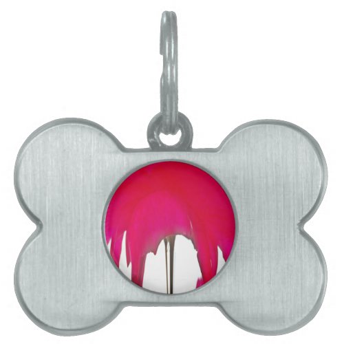Beautiful amazing Red rose under the white sky Pet ID Tag