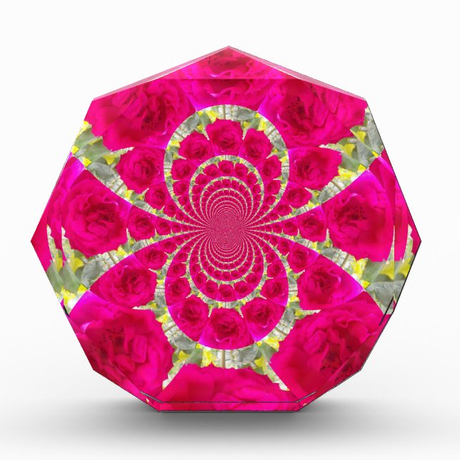 Beautiful Amazing Red Roses Kaleidoscope Pattern Award (Front)