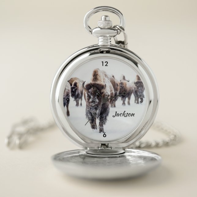 Beautiful American Buffalo in Snow Pocket Watch (Inside)