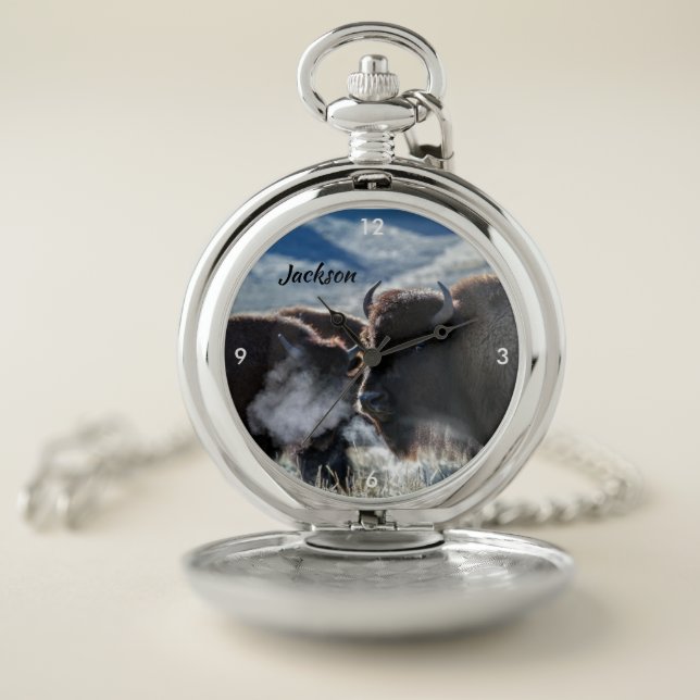 Beautiful American Buffalo in Snow Pocket Watch (Inside)