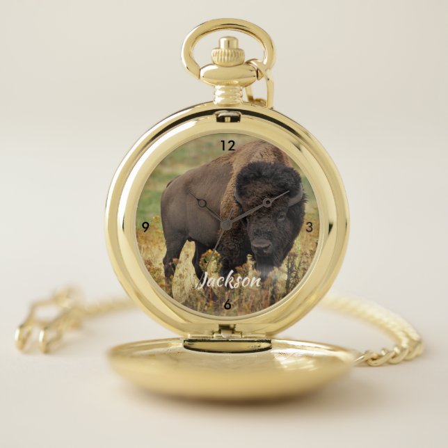 Beautiful American Buffalo Pocket Watch (Inside)
