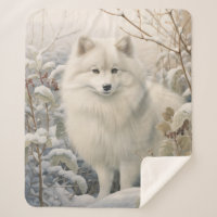 Beautiful American Eskimo – Bright & Loving
