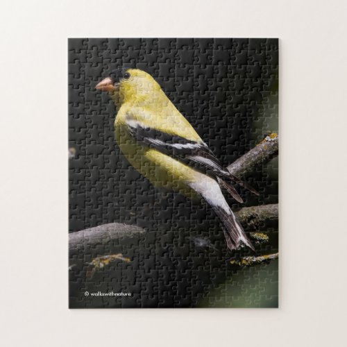 Beautiful American Goldfinch Jigsaw Puzzle