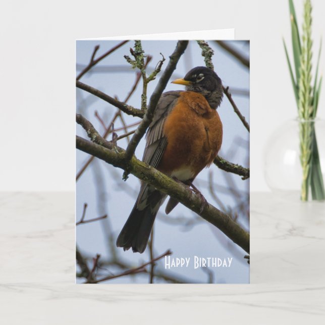 Beautiful American Robin Birthday Greeting Card (Front)