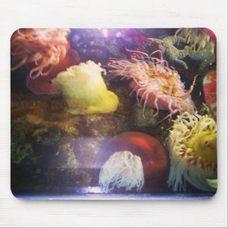Beautiful and colorful soft coral mousepad