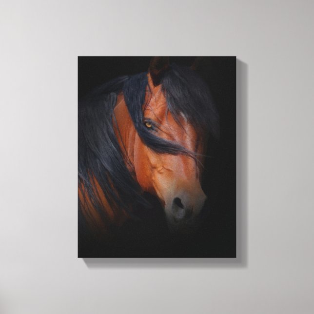 Beautiful and Dramatic Horse Art on Canvas Print (Front)