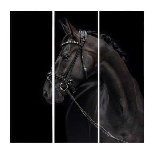 Beautiful and elegant horse triptych