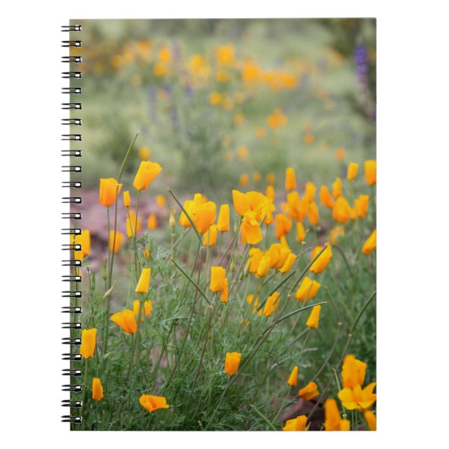 beautiful and fragrant wildflowers growing in tucs notebook (Front)