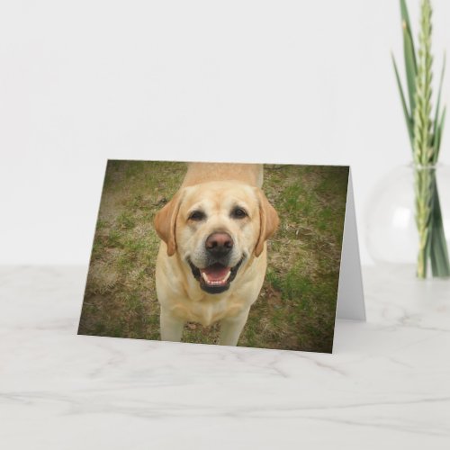 Beautiful and Happy Yellow Labrador Retriever Card