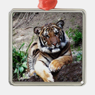 Beautiful and Majestic Bengal Tiger Custom Metal Ornament