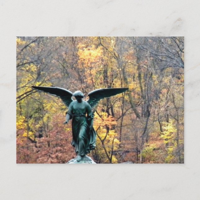 Beautiful angel in autumn woodlands   postcard (Front)