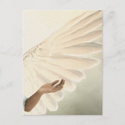 Beautiful Angel Wings _ Caring  Calm Postcard