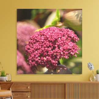 Beautiful Angelica Flower Canvas Print