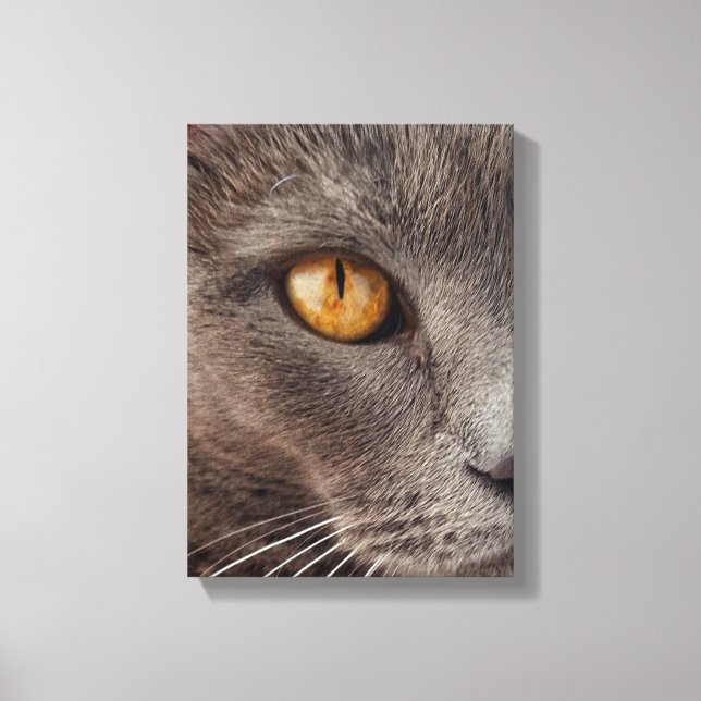 Beautiful Animal Face Canvas Print (Front)