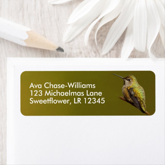 Beautiful Anna's Hummingbird on Trumpetvine Branch Label (Insitu)