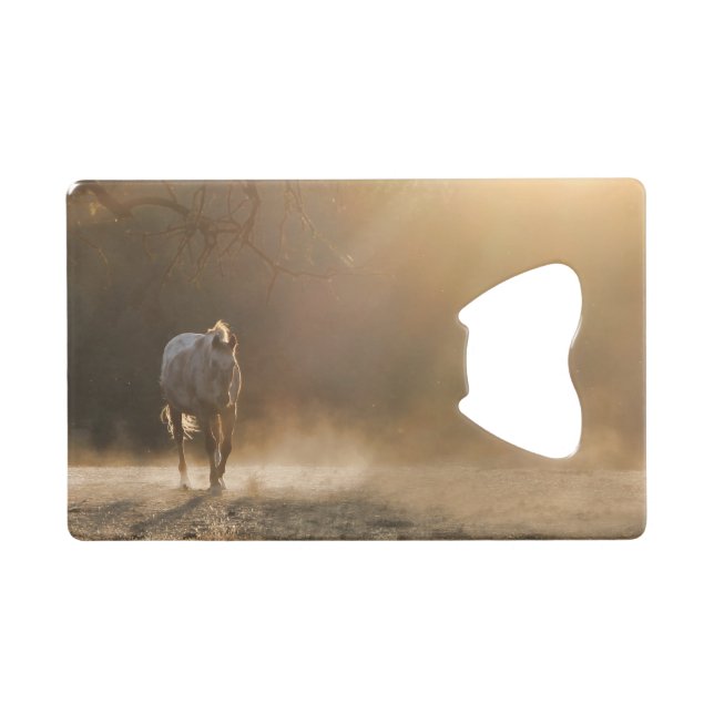 Beautiful Appaloosa in Golden Sunlight Bottle Open Credit Card Bottle Opener (Front (Horizontal))