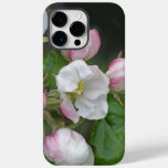Beautiful Apple blossoms iPhone case
