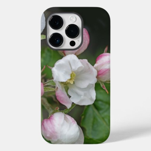 Beautiful Apple blossoms iPhone case