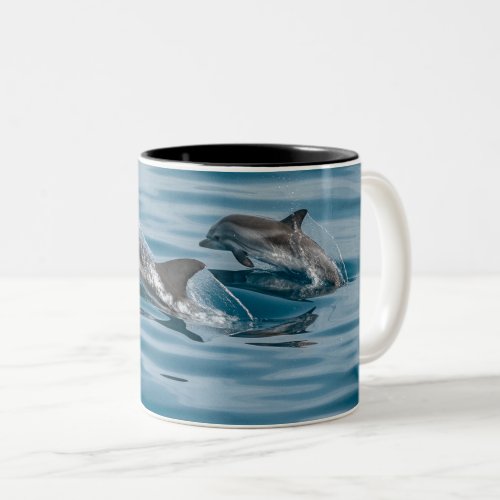 Beautiful Aquatic Dolphins Two_Tone Coffee Mug