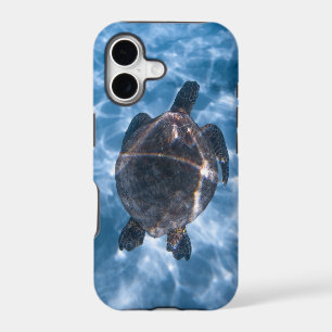 Beautiful Aquatic Turtle Best gift for sea life iPhone 17 Case