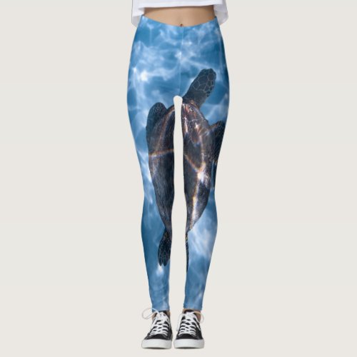 Beautiful Aquatic Turtle  Best gift for sea life Leggings