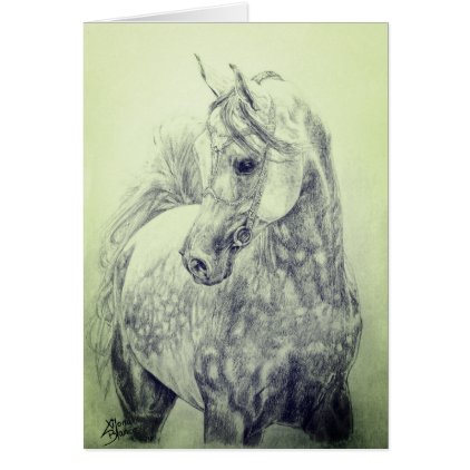 Beautiful Arab Horse - hand drawn Card