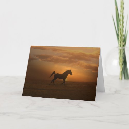 Beautiful Arabian Blank Note Card