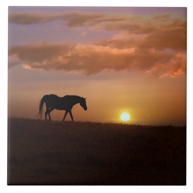 Beautiful Arabian Horse and Sunrise Art Tile (Front)