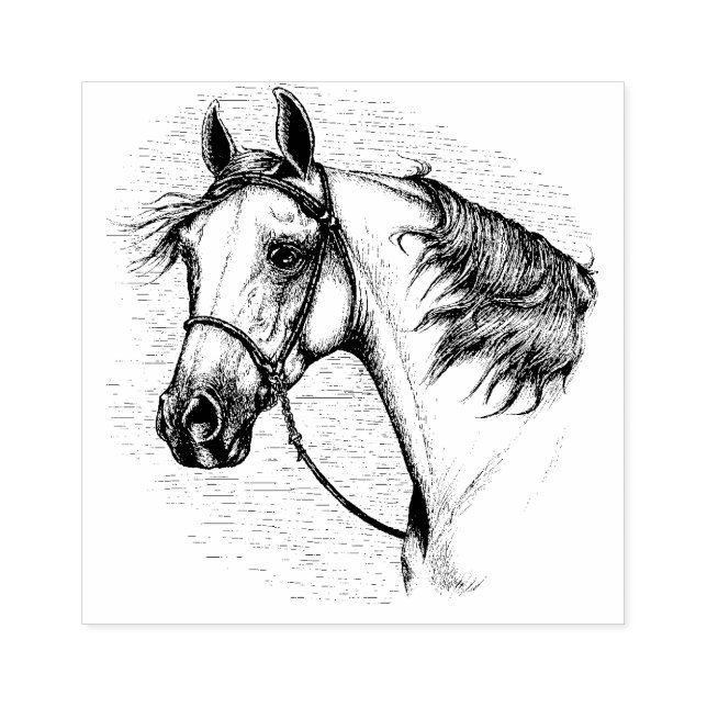 BEAUTIFUL ARABIAN HORSE, EQUINE HEAD PORTRAIT RUBBER STAMP (Imprint)